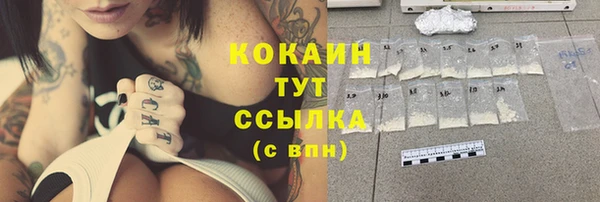 ешки Володарск