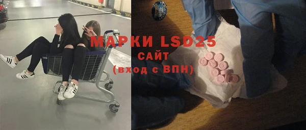 прущие грибы Вяземский
