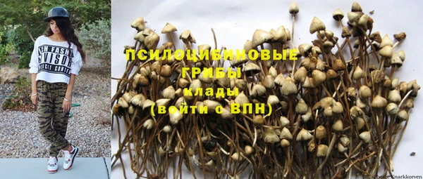 ешки Володарск