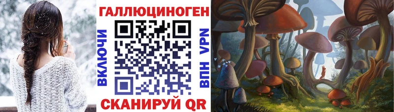 Псилоцибиновые грибы Cubensis  mega сайт  Каменск-Шахтинский 